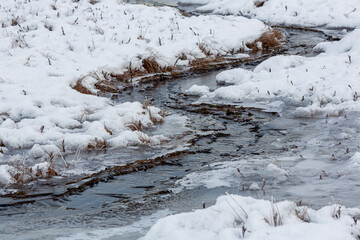swamp on a sunny winter day with snow