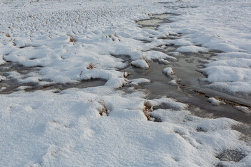 swamp on a sunny winter day with snow