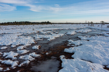 swamp on a sunny winter day with snow
