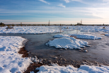 swamp on a sunny winter day with snow