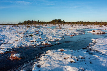 swamp on a sunny winter day with snow