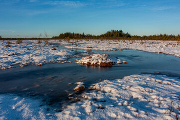 swamp on a sunny winter day with snow