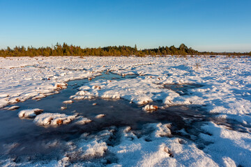 swamp on a sunny winter day with snow