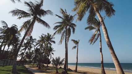 Al Ghubrah beach in Muscat, long lonesome beach, turquoise blue water, green meadow, palm trees and outdoor seating for picnics