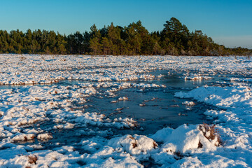 swamp on a sunny winter day with snow