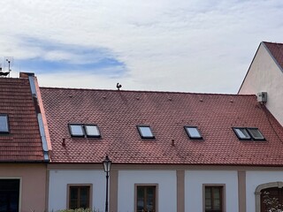 Red roof wit skylight in Nitra, Slovakia, Bratislava. Sunny day, cock. rooster