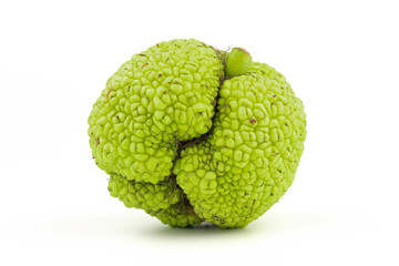 Maclura Orange exotic fruit on white background