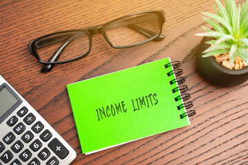 Income limits concept. Income thresholds set by organizations or governments to determine eligibility for specific programs, benefits, or assistance. Business and finance. Notebook, glasses