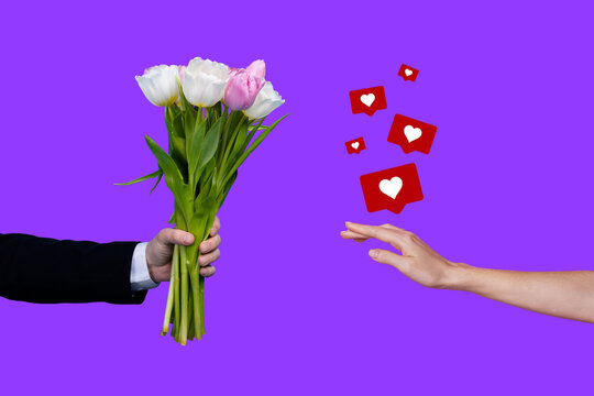 Composite photo collage of hands hold heart icon blogging notification tulips bouquet bloom greeting isolated on painted background