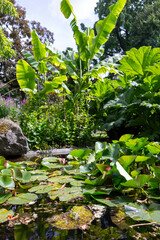 Botanische Garten in Antwerpen