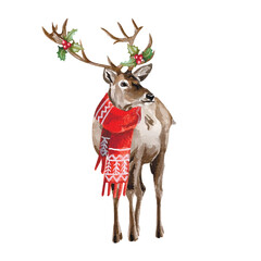 Vector freehand watercolor illustration of Christmas Deer isolated on white background. Hand drawn watercolour Reindeer painting. Design cards
