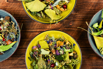 Set healing herbs, medical herbs.