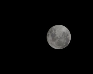 Fototapeta premium Night Moon