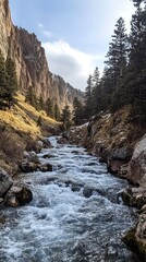 Mountain River Flowing Through a Rocky Gorge