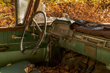 Abandoned station wagon in the woods of the Delaware Water Gap National Recreation Area