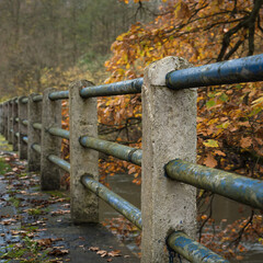 CLASSICAL BRIDGE AND AUTUMN - A very old object over the Parseta River with a colorful forest in the background
