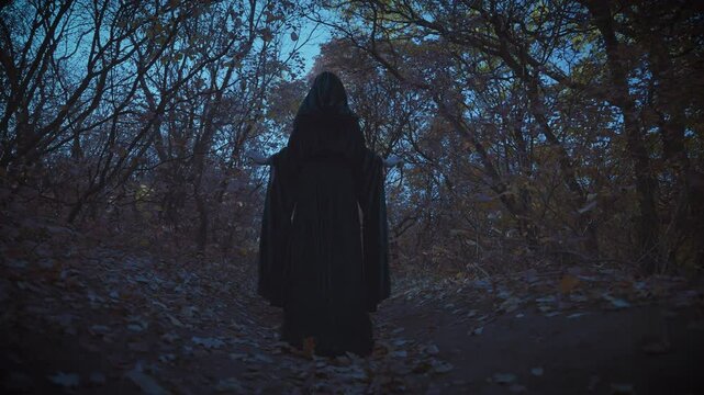black silhouette fantasy woman ghost walking in dark dense forest. Fairy elf gothic girl go along path night nature wood trees, back rear view. Long dress cloak wide sleeves cape. lady witch costume