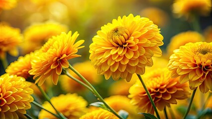Obraz premium Stunning Macro Photography of Vibrant Yellow Flowers in Nature's Landscape
