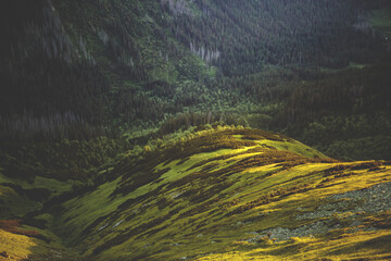 Scenic Landscape with Rolling Hills and Sunlit Forest of Tatra mountains.