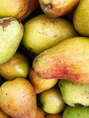 Close-up of fresh ripe pears showcasing natural colors and textures
