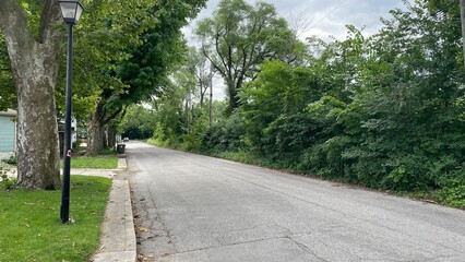 Obraz premium Walk in the Park