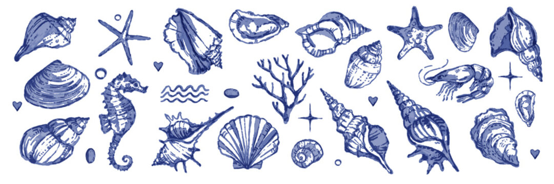 Sea shell collection, vector watercolor hand drawn ocean conch set, nature exotic mollusc, starfish. Mediterranean blue ink nautical retro illustration, summer travel marine kit. Underwater sea shell