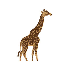 Naklejka premium Vector silhouette of a giraffe on white background