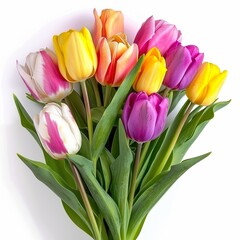 Obraz premium Colorful tulips bunch isolated on a white background