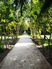 A serene pathway lined with trees in a lush garden, inviting visitors to explore on a sunny day