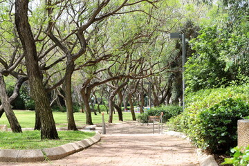 Obraz premium Pedestrian path in the city park.