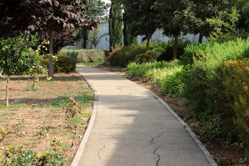 Pedestrian path in the city park.