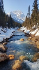 Fototapeta premium Mountain Stream Flowing Through a Snowy Valley