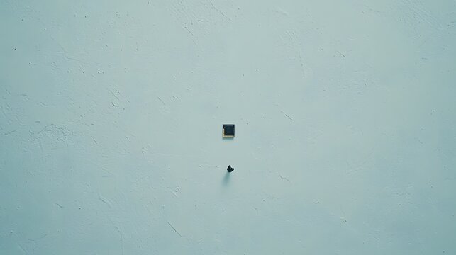 Empty Canvas: A pristine white background with a single DSP chip at its center. The copy space invites creativity—a canvas for digital magic. 