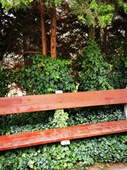 A wooden bench surrounded by lush greenery in a tranquil park setting during the afternoon