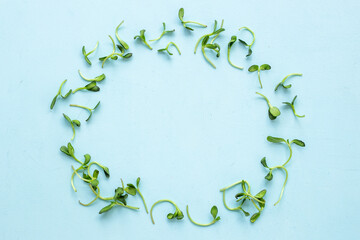 Frame of microgreens pea, top view. Vegan and healthy eating.