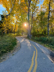 Obraz premium Fall colours along the Elbow River trails in Calgary, Alberta 