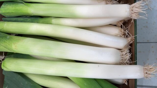 Leeks on display at the vegetable shop, tracking shot in top view on white leeks arranged in cardboard box