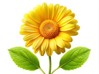 Obraz premium Illustration of a Bright Yellow Daisy Flower with Green Stem and Leaves on Clean White Background, Ideal for Spring and Summer Designs, Perfect for Floral Patterns and Seasonal Themes