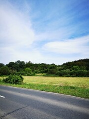 Fototapeta premium Lush green landscape along a quiet rural road under a blue sky on a sunny day, showcasing nature's beauty and tranquility