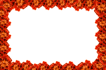 Orange flower frame. Beautiful flower border isolated on transparent background. Template mockup from blooming roses. Summer spring design elements. PNG