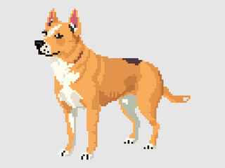 Dog, vector pixel, new style, cute, vector illustration, friend, 10eps