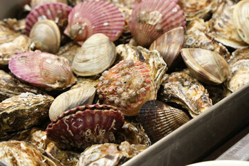 Korean Seafood Food. Steamed oysters and clams