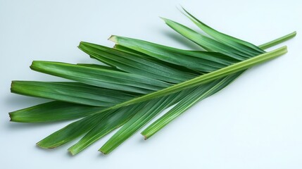 A cluster of long, green leaves arranged on a light surface.