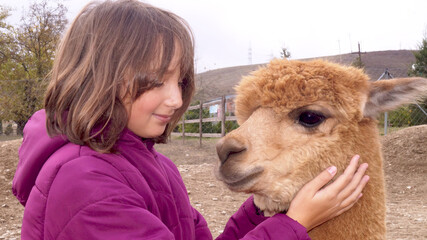 Girl and alpaca in the farm . High quality photo © Rana