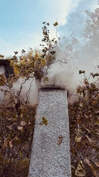comignolo che fuma circondato da vegetazione autunnale