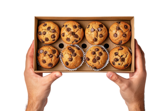 Chocolate Chip Muffins Box in Hands - Top Perspective, Packaging for Advertisement and Commercial Isolated on Transparent or White Background