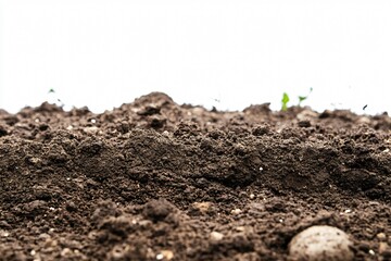 Close-up of Dark Soil with Small Clumps against White Background for Agriculture and Gardening Concepts