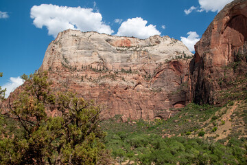 Zion National Park, view at mountain during Kayenta trail hike