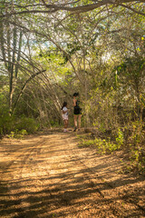Fototapeta premium Walking in the forest, Landscape photographs of foliage or forest and mother and daughter walking through it.