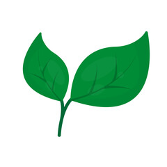 Fototapeta premium branching leaf vector. fresh leaf shoots